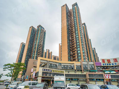 样板图