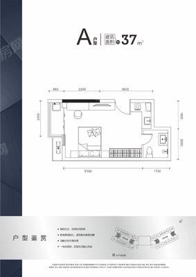 1室0厅 37㎡