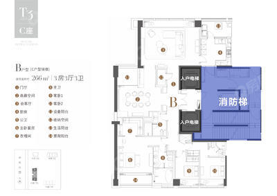 3室3厅 266㎡